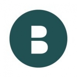 Bridgit Logo