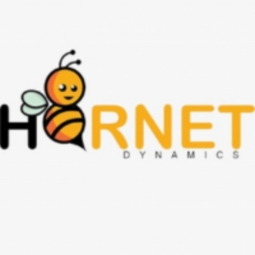 Hornet Dynamics Logo