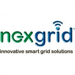 Nexgrid Logo