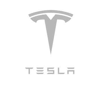 Tesla - AGP Experts Network